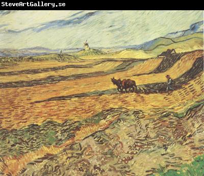 Vincent Van Gogh Field with Ploughman and Mill (nn04)